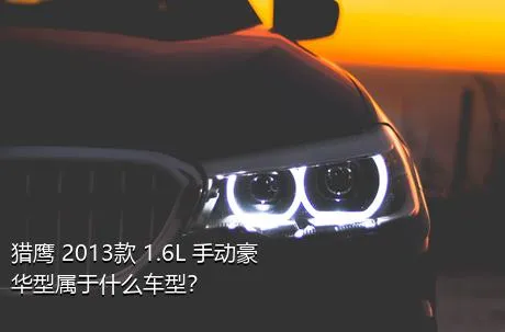 猎鹰 2013款 1.6L 手动豪华型属于什么车型？