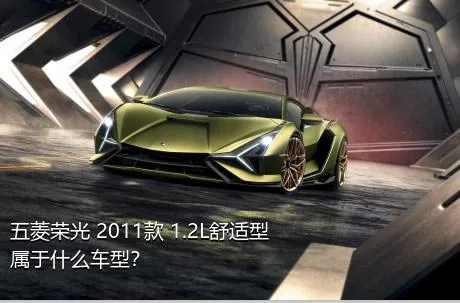 五菱荣光 2011款 1.2L舒适型属于什么车型？