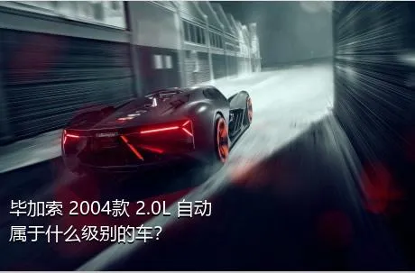 毕加索 2004款 2.0L 自动属于什么级别的车？