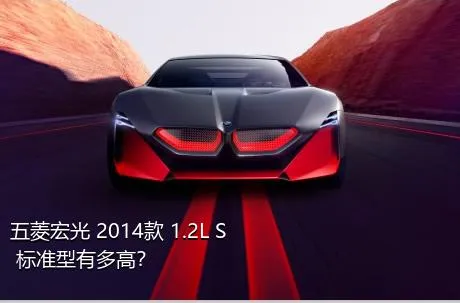 五菱宏光 2014款 1.2L S 标准型有多高？