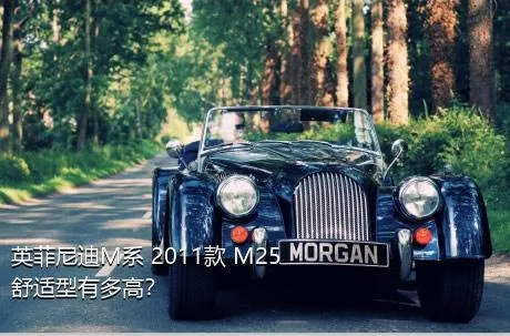 英菲尼迪M系 2011款 M25 舒适型有多高？