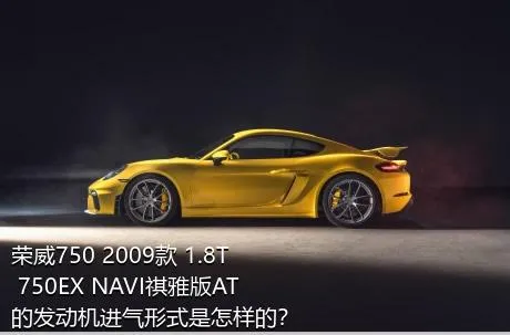 荣威750 2009款 1.8T 750EX NAVI祺雅版AT的发动机进气形式是怎样的？