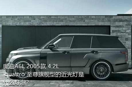 奥迪A6L 2005款 4.2L quattro 至尊旗舰型的近光灯是什么灯泡？