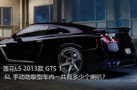 莲花L5 2013款 GTS 1.6L 手动劲取型车内一共有多少个喇叭？