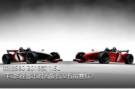 森雅S80 2013款 1.5L 手动5座都市时尚版有没有前雾灯？