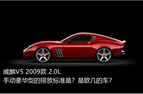 威麟V5 2009款 2.0L 手动豪华型的排放标准是？是欧几的车？