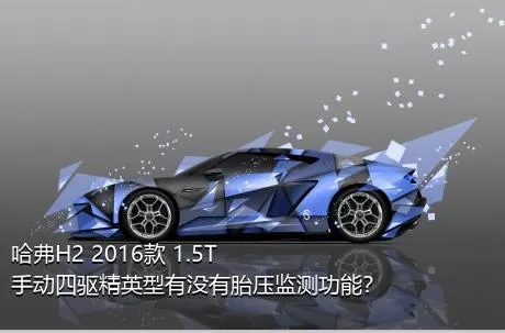 哈弗H2 2016款 1.5T 手动四驱精英型有没有胎压监测功能？
