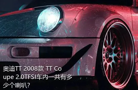 奥迪TT 2008款 TT Coupe 2.0TFSI车内一共有多少个喇叭？