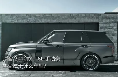 帅客 2010款 1.6L 手动豪华型属于什么车型？