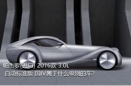 帕杰罗(进口) 2016款 3.0L 自动标准版 国IV属于什么级别的车？