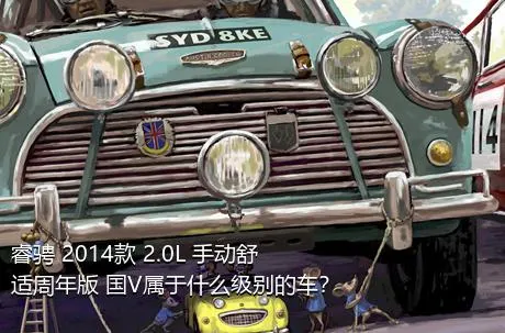 睿骋 2014款 2.0L 手动舒适周年版 国V属于什么级别的车？