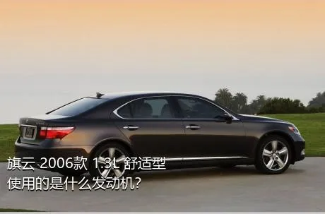 旗云 2006款 1.3L 舒适型使用的是什么发动机？