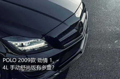 POLO 2009款 劲情 1.4L 手动舒尚版有多重？