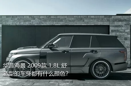 华普海景 2009款 1.8L 舒适型的车身都有什么颜色？