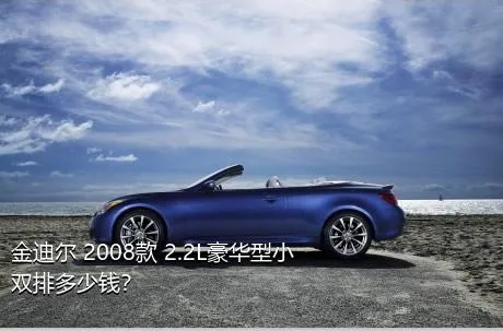 金迪尔 2008款 2.2L豪华型小双排多少钱？