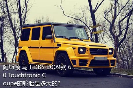 阿斯顿·马丁DBS 2009款 6.0 Touchtronic Coupe的轮胎是多大的？