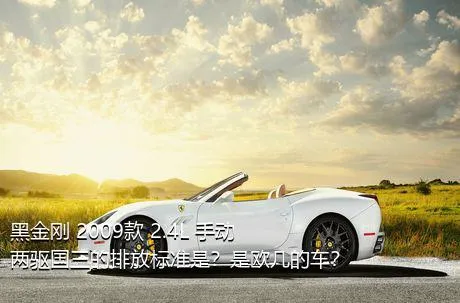 黑金刚 2009款 2.4L 手动两驱国三的排放标准是？是欧几的车？