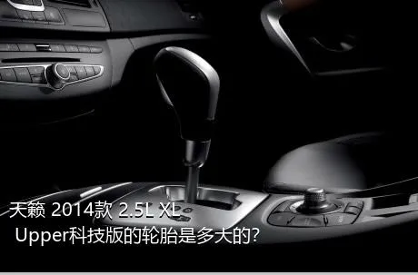 天籁 2014款 2.5L XL Upper科技版的轮胎是多大的？