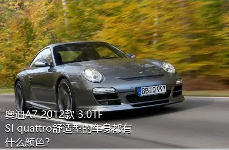 奥迪A7 2012款 3.0TFSI quattro舒适型的车身都有什么颜色？