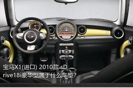 宝马X1(进口) 2010款 sDrive18i豪华型属于什么车型？