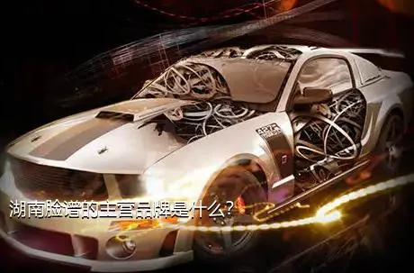湖南脸谱的主营品牌是什么？