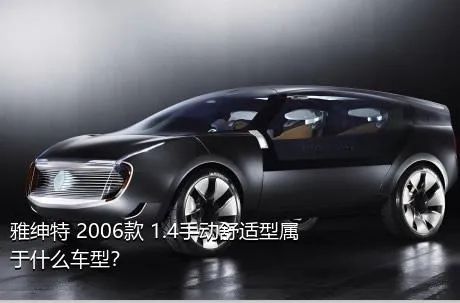 雅绅特 2006款 1.4手动舒适型属于什么车型？