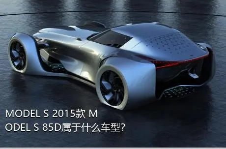 MODEL S 2015款 MODEL S 85D属于什么车型？