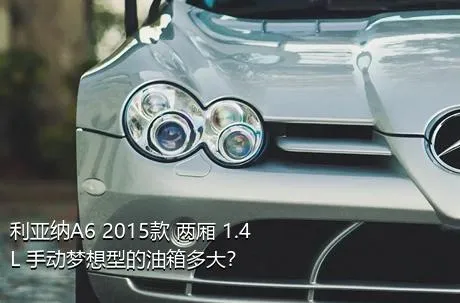 利亚纳A6 2015款 两厢 1.4L 手动梦想型的油箱多大？