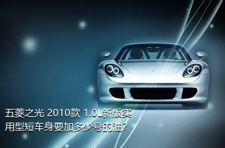 五菱之光 2010款 1.0L新版实用型短车身要加多少号的油？