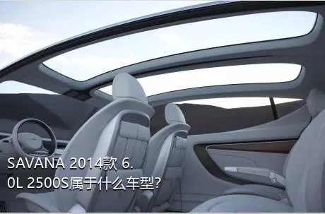 SAVANA 2014款 6.0L 2500S属于什么车型？