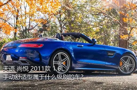 天语 尚悦 2011款 1.6L 手动舒适型属于什么级别的车？