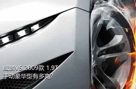 威麟V5 2009款 1.9T 手动豪华型有多高？