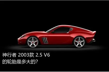 神行者 2003款 2.5 V6的轮胎是多大的？