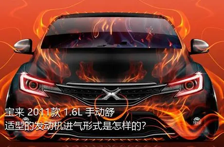 宝来 2011款 1.6L 手动舒适型的发动机进气形式是怎样的？