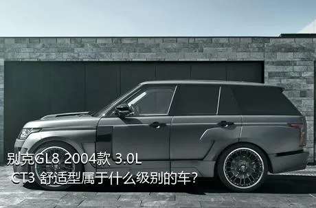 别克GL8 2004款 3.0L CT3 舒适型属于什么级别的车？