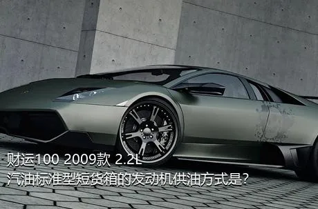 财运100 2009款 2.2L汽油标准型短货箱的发动机供油方式是？