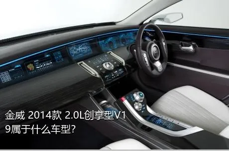 金威 2014款 2.0L创享型V19属于什么车型？