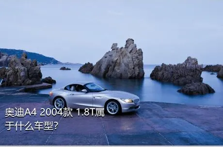 奥迪A4 2004款 1.8T属于什么车型？