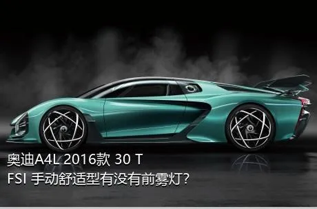 奥迪A4L 2016款 30 TFSI 手动舒适型有没有前雾灯？