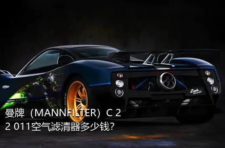 曼牌（MANNFILTER）C 22 011空气滤清器多少钱？