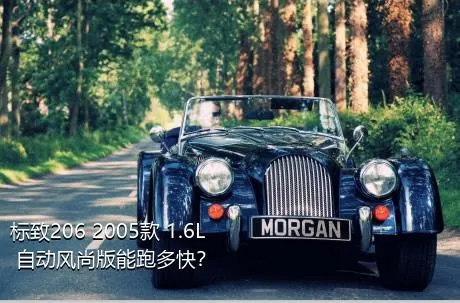 标致206 2005款 1.6L 自动风尚版能跑多快？