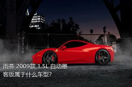 雨燕 2009款 1.5L 自动墨客版属于什么车型？