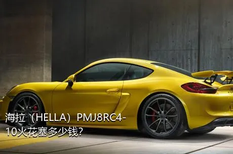 海拉（HELLA）PMJ8RC4-10火花塞多少钱？