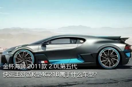 金杯海狮 2011款 2.0L第五代快运王舒适K型4G21B属于什么车型？