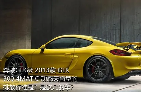 奔驰GLK级 2013款 GLK 300 4MATIC 动感天窗型的排放标准是？是欧几的车？