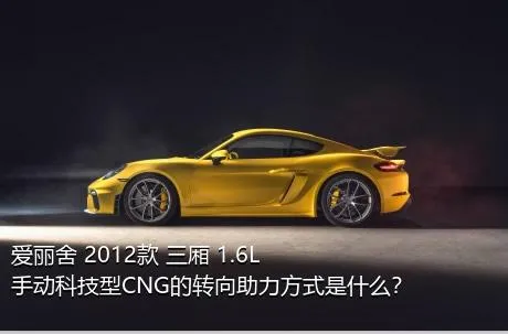 爱丽舍 2012款 三厢 1.6L 手动科技型CNG的转向助力方式是什么？