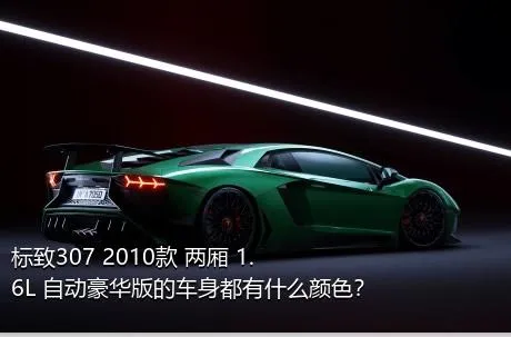 标致307 2010款 两厢 1.6L 自动豪华版的车身都有什么颜色？