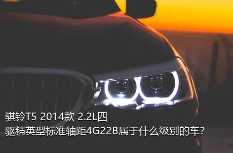 骐铃T5 2014款 2.2L四驱精英型标准轴距4G22B属于什么级别的车？