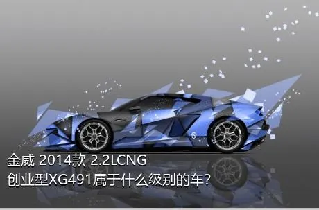 金威 2014款 2.2LCNG创业型XG491属于什么级别的车？