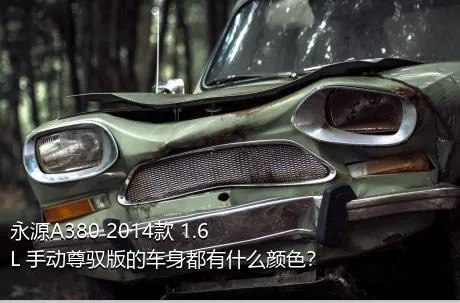 永源A380 2014款 1.6L 手动尊驭版的车身都有什么颜色？